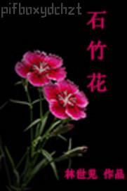 美人潛入搜查官波多